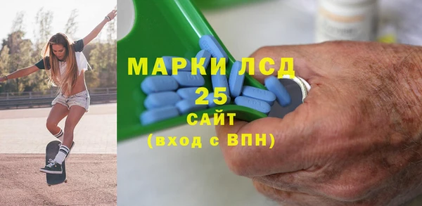 прущие грибы Абинск