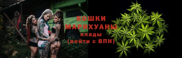 ПСИЛОЦИБИНОВЫЕ ГРИБЫ Алексеевка